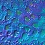 PWT Stippling a Background