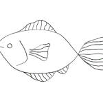 How to Draw a Fish